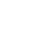 Delivery Plane Icon